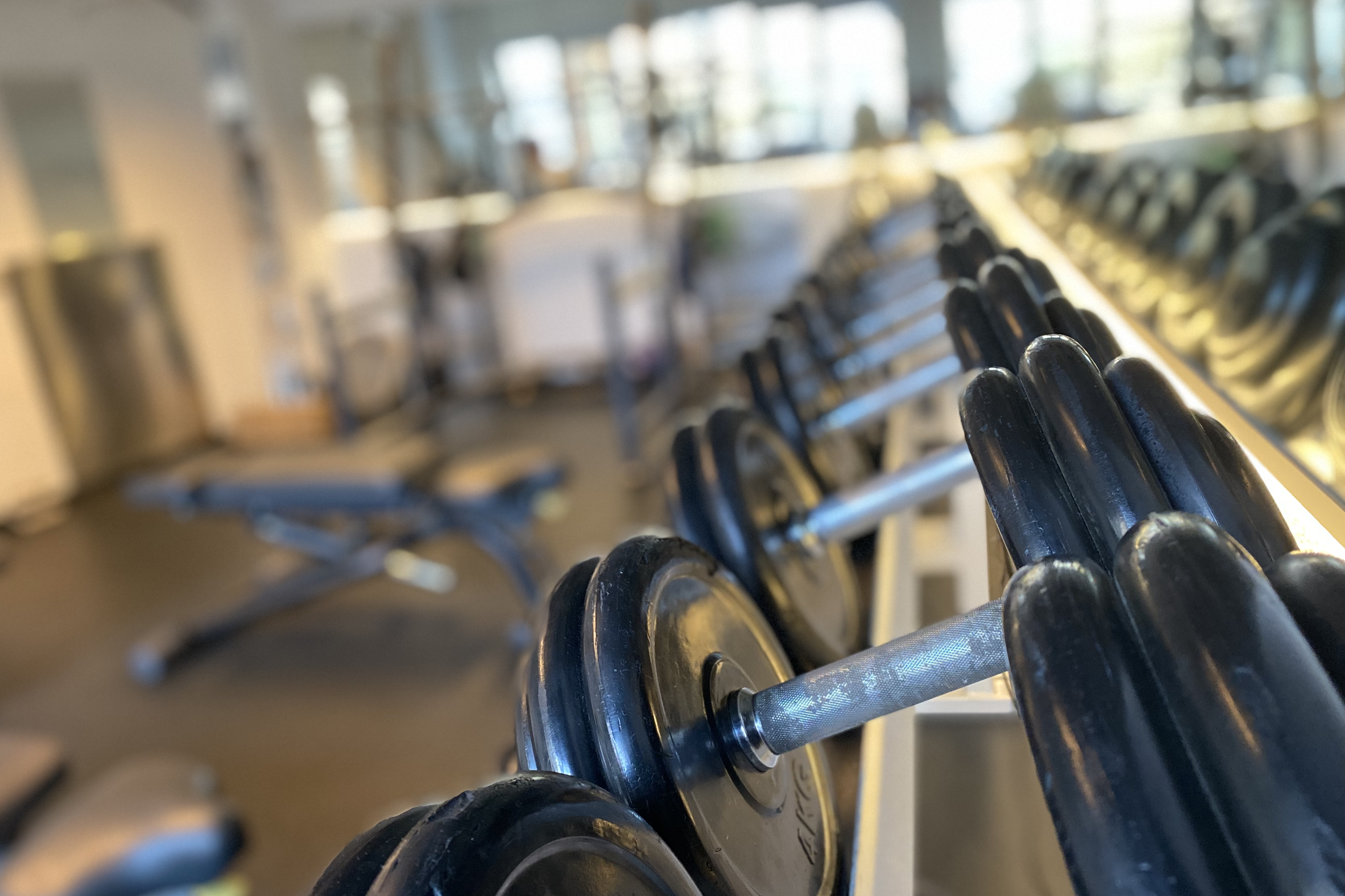 Daytona Gym - Fitness mit Charme Daytona Gym - Fitness mit Charme